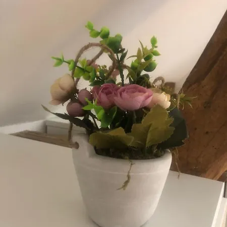 Les Vieux Chênes Hébergement de vacances Oyre