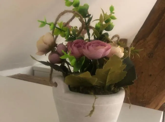 Les Vieux Chenes Feriehus Oyre